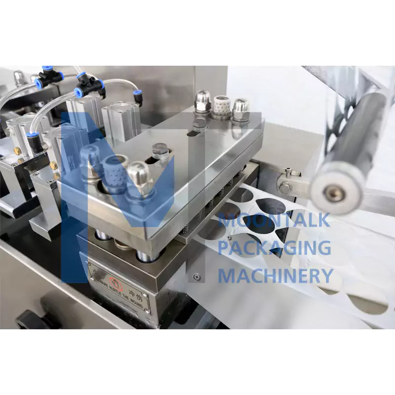 Blister Packing Machine Details 4