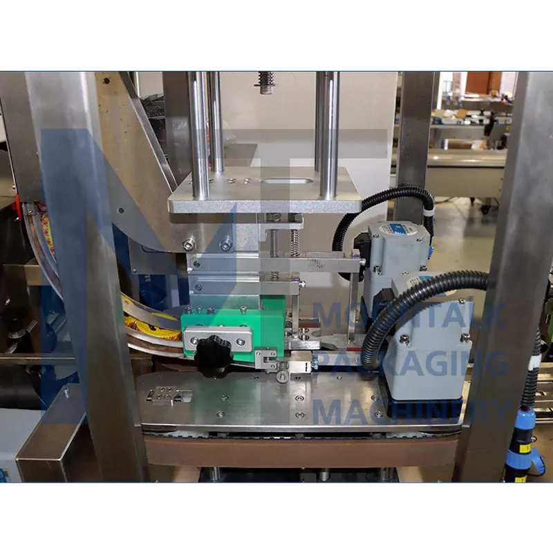 Powder Filling Machine Details 2