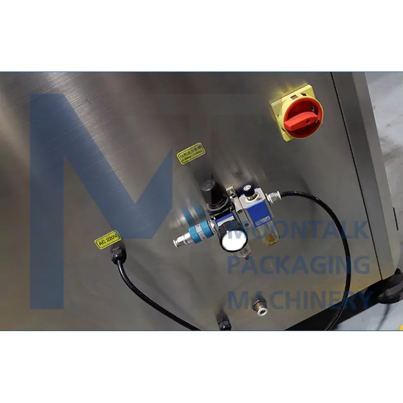 Sauce Filling Machine Details 4
